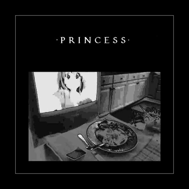 Album cover art for Princess