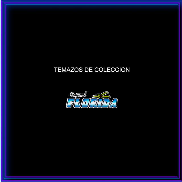 Album cover art for Temazos de Coleccion
