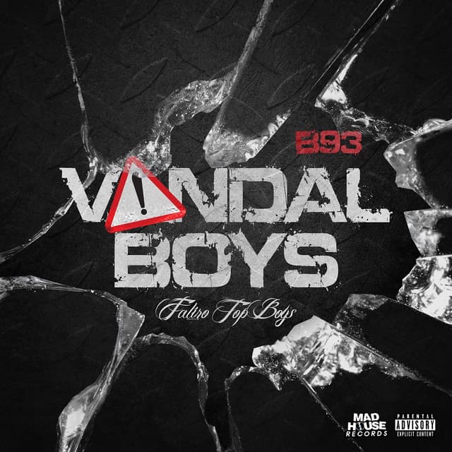 Album cover art for Vandal Boys