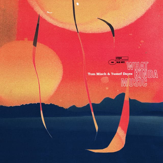 Album cover art for What Kinda Music