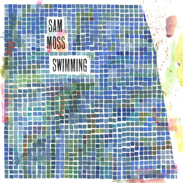 Album cover art for Swimming