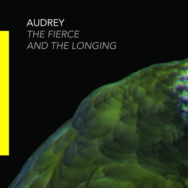 Album cover art for The Fierce And The Longing