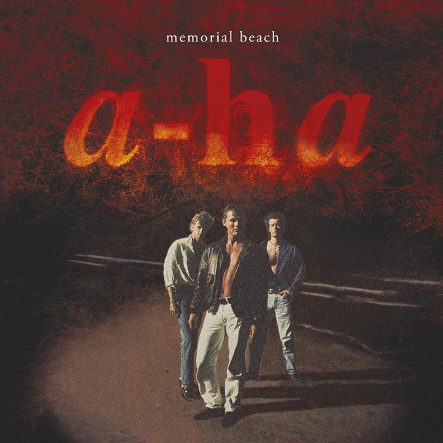 Album cover art for Memorial Beach