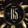 #B5