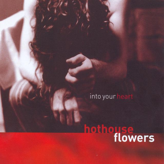 Album cover art for Into Your Heart