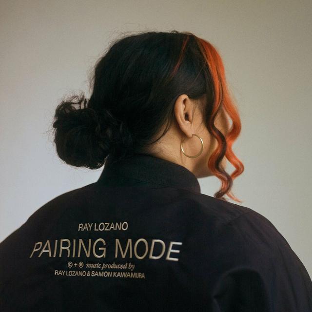 Album cover art for Pairing Mode