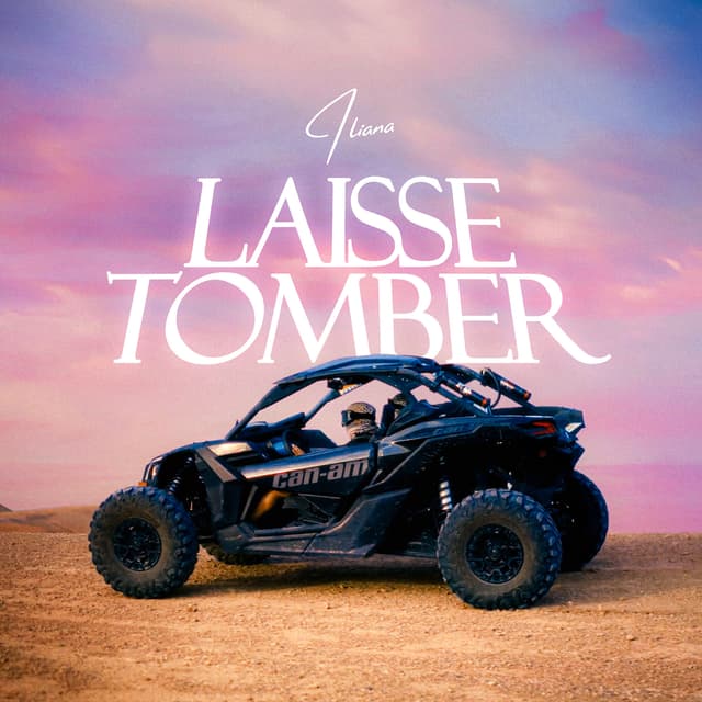 Album cover art for Laisse Tomber