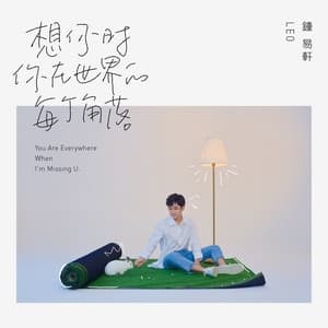 Album cover art for 想你时你在世界的每个角落
