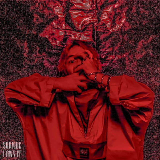 Album cover art for Survibe