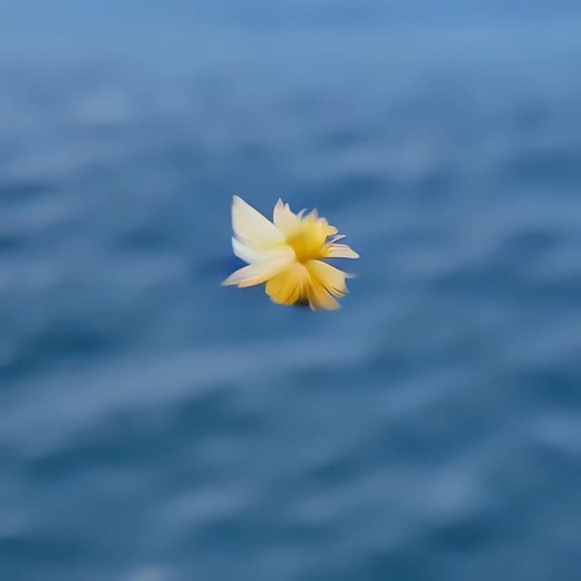 Album cover art for 唯心 Idealistic