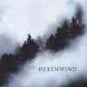 Der Hexe flammend’ Blick