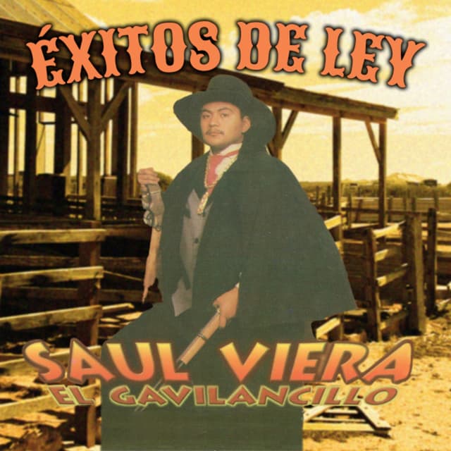 Album cover art for Éxitos de Ley
