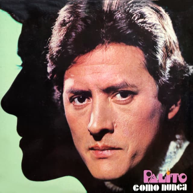 Album cover art for Palito Como Nunca