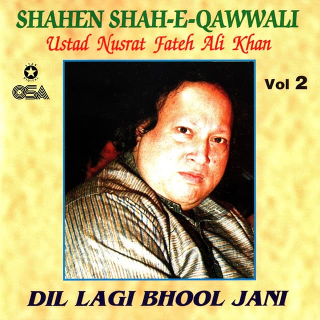 Album cover art for Dil Lagi Bhool Jani, Vol. 2