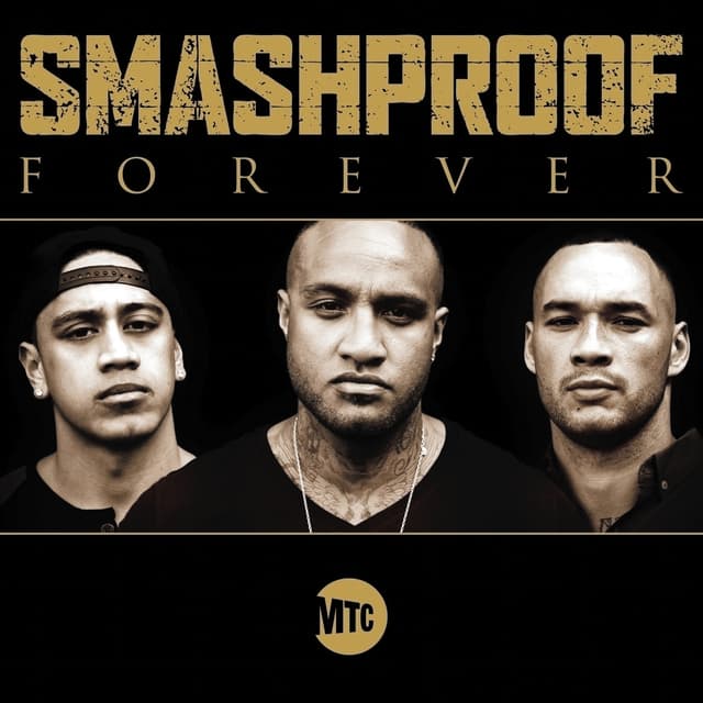 Album cover art for Forever