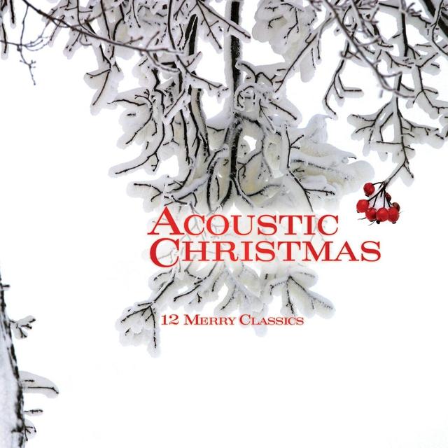 Album cover art for Acoustic Christmas