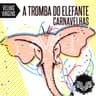 A Tromba do Elefante