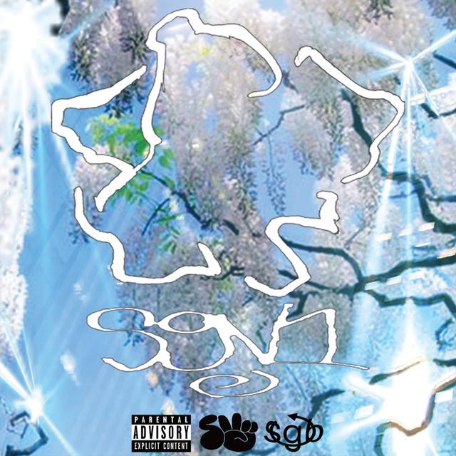 Album cover art for SGV1