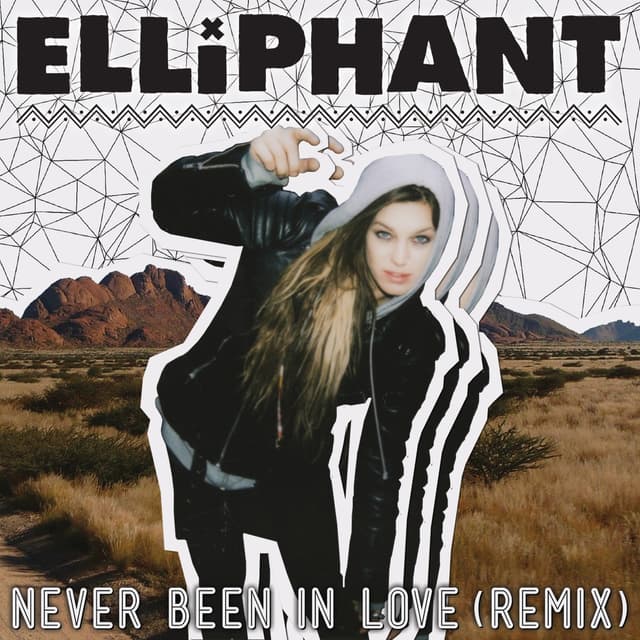 Album cover art for Never Been In Love