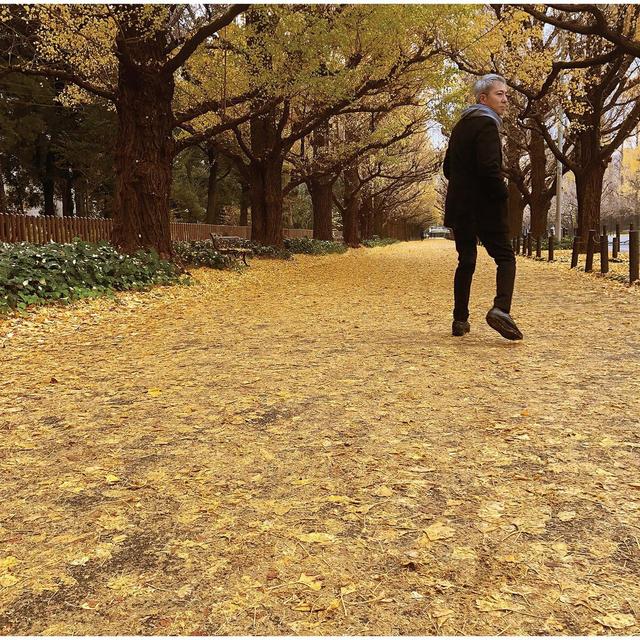 Album cover art for Aru Akino Hi