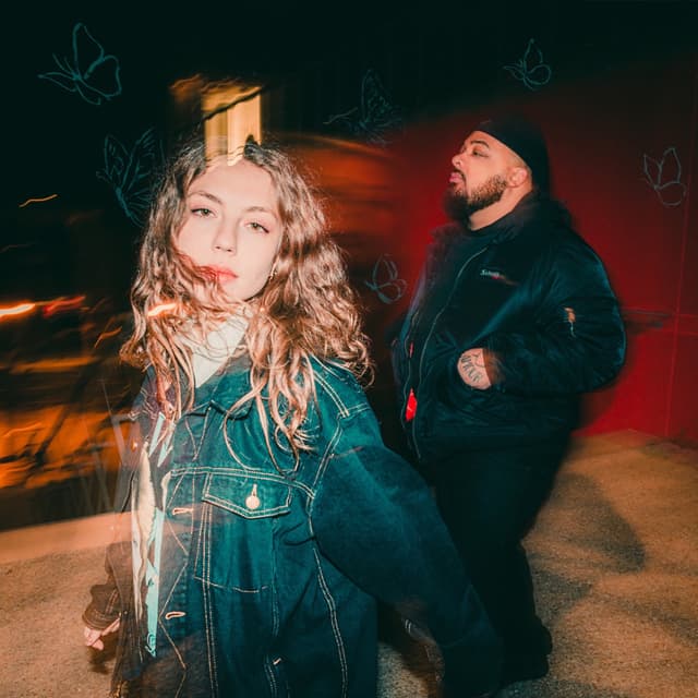 Album cover art for Les papillons