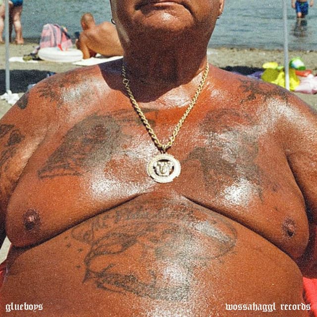 Album cover art for Gauner & Ganoven
