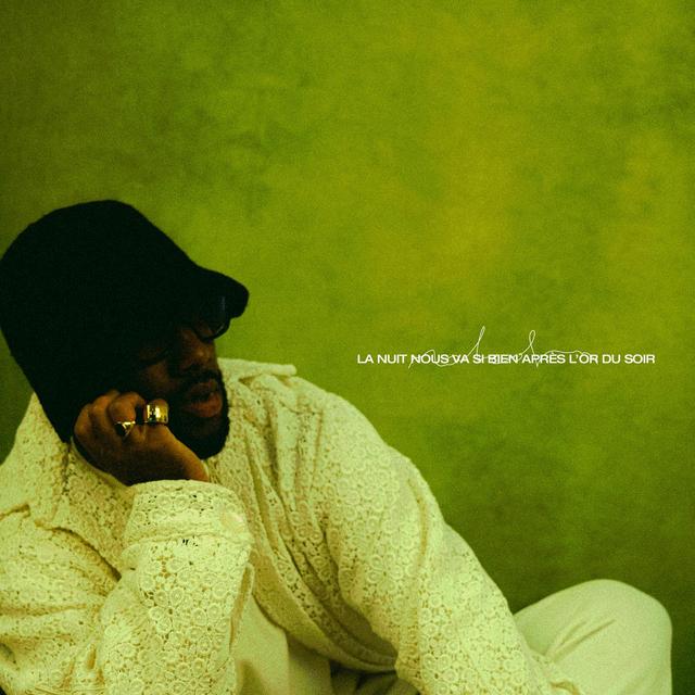 Album cover art for la nuit nous va si bien, après l'or du soir