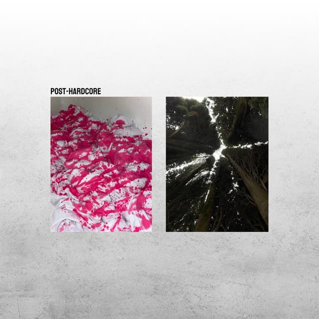 Album cover art for Post-hardcore