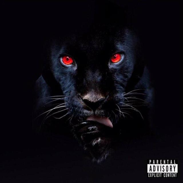 Album cover art for HE’s a Animal