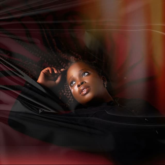 Album cover art for perfect union