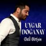 Deli Biriyim