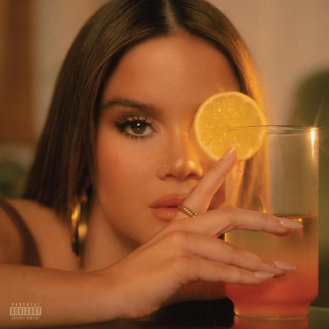 Album cover art for D R E A M S I C L E
