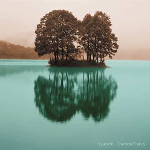 Album cover art for Chemical Friends