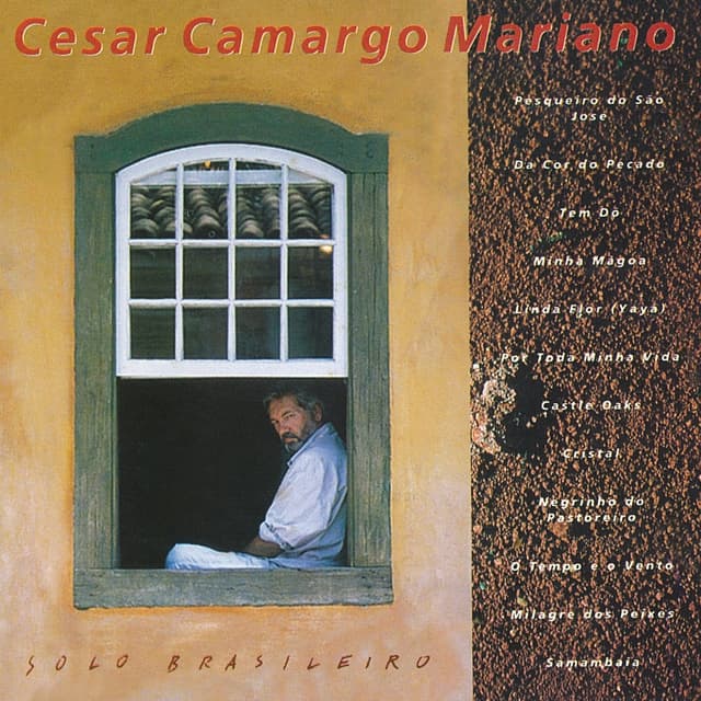 Album cover art for Solo Brasileiro