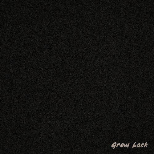 Album cover art for Grow back