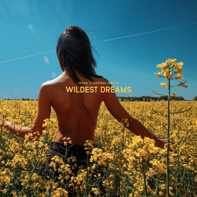 Album cover art for Wildest Dreams