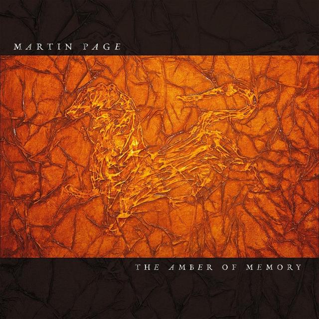 Album cover art for The Amber of Memory
