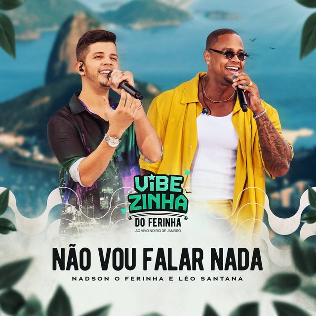 Album cover art for Não Vou Falar Nada (Vibezinha do Ferinha)