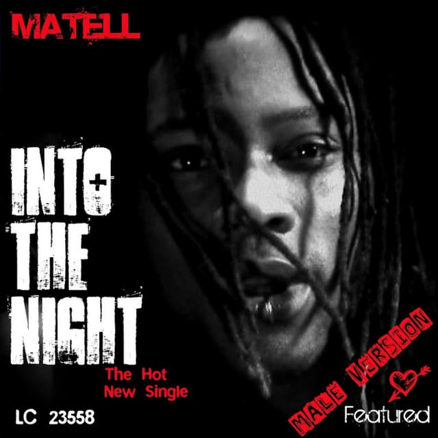 Album cover art for Into The Night