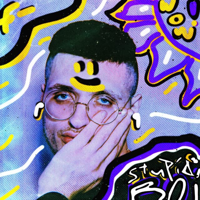 Album cover art for Stupid Boi