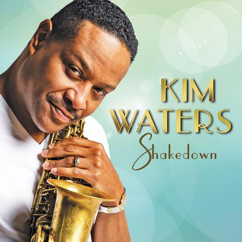 Album cover art for Shakedown