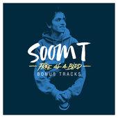 Album cover art for Free as a Bird : Bonus Tracks