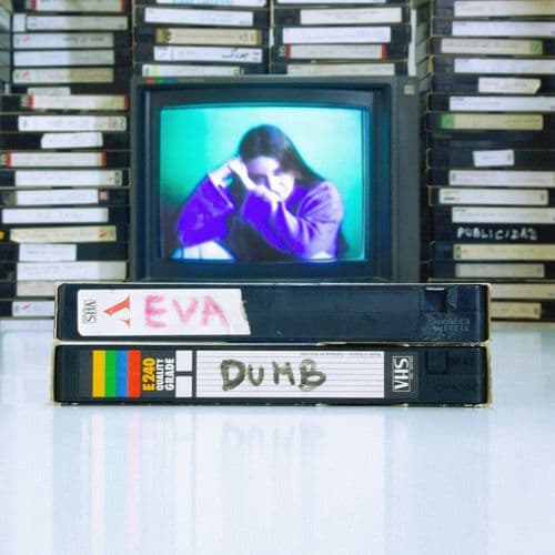Album cover art for Dumb