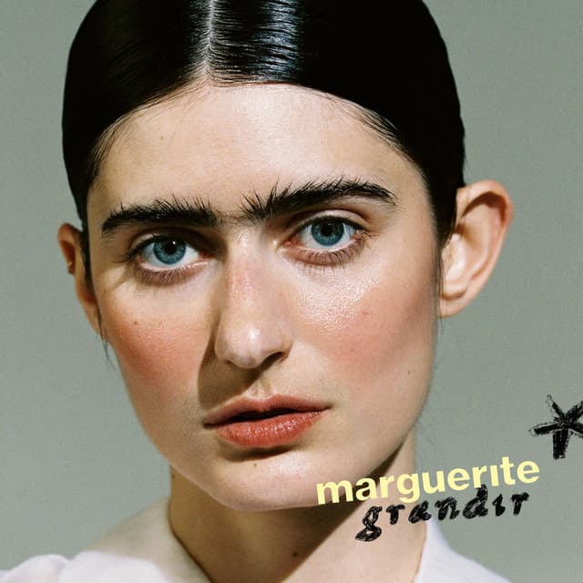 Album cover art for Les Avions