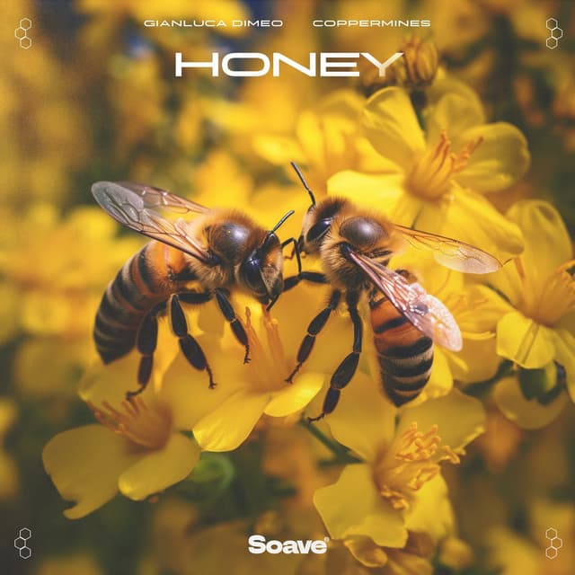 Album cover art for Honey