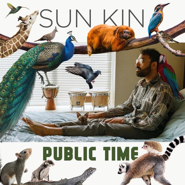 Album cover art for Public Time