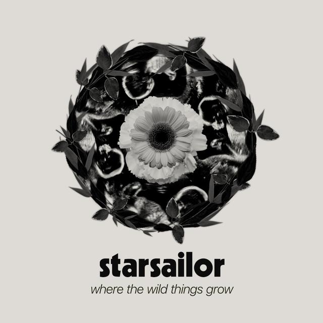 Album cover art for Where the Wild Things Grow