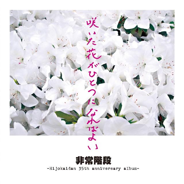 Album cover art for 咲いた花がひとつになればよい -Hijokaidan 35th Anniversary Album-