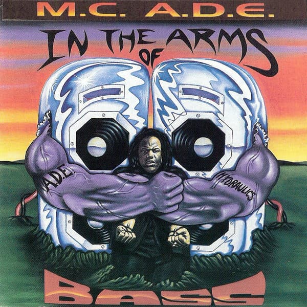 Album cover art for In The Arms Of Bass