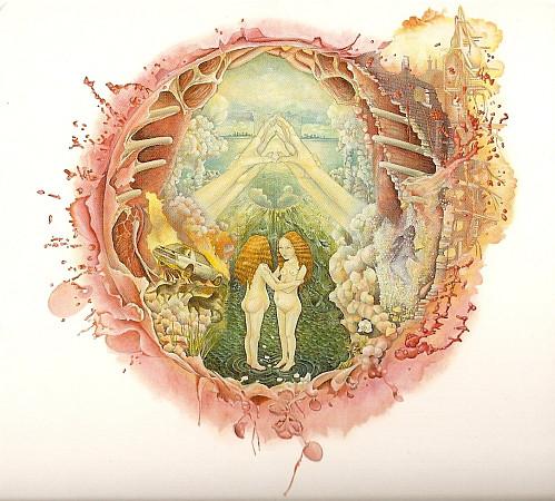 Album cover art for Arm’s Way